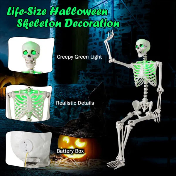 5.5ft Life-Size Skeleton with built-in Green LED Lights