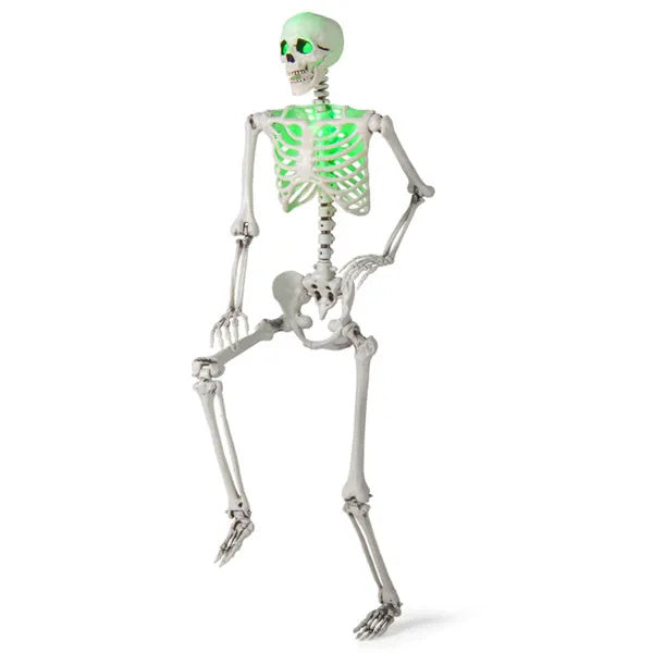 5.5ft Life-Size Skeleton with built-in Green LED Lights