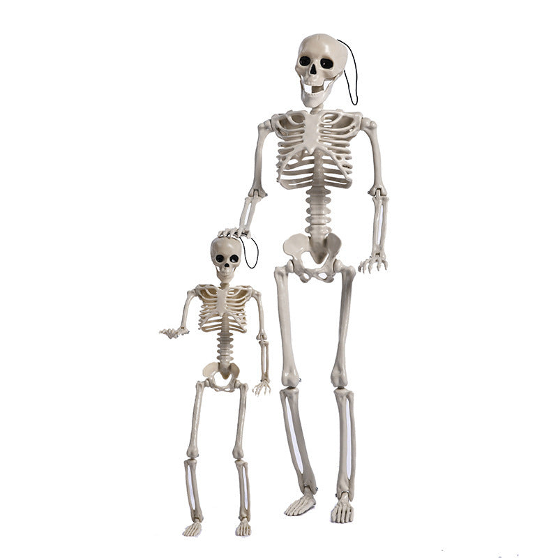 Halloween Plastic Skull Skeleton Model Scene Arrangement